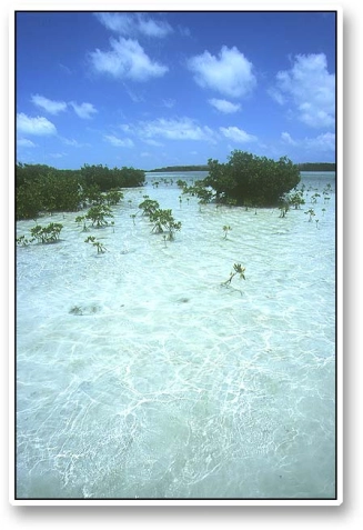 Cool, clear water Cool, clear water