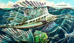 Sailfish in the surface Sailfish in the surface