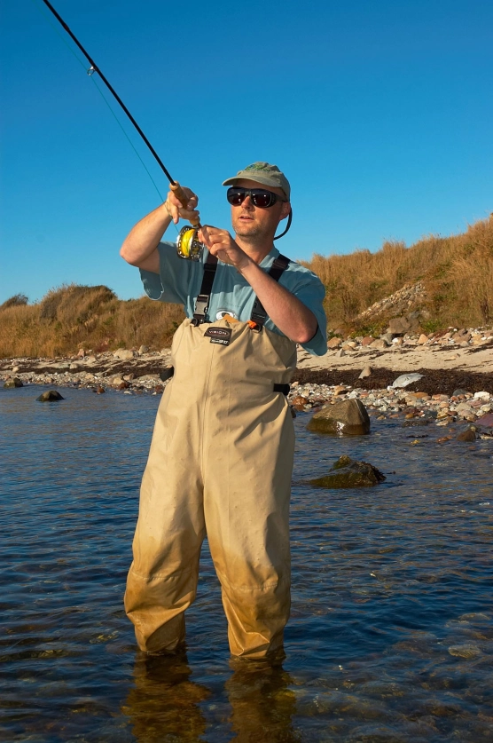 Fantastic weeks! - image Fantastic weeks! - image