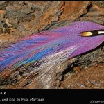 #79 Super Blue - Mike Martinek #79 Super Blue - Mike Martinek