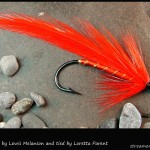 #244 Fire Fly - Loretta Parent