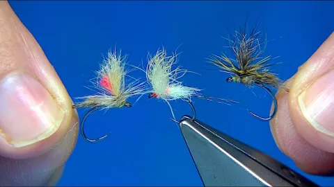 Video thumb for Dynamite Harry