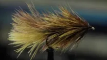 Video thumb for Brahma Bugger Ver. 2.0
