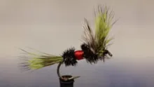 Video thumb for Hi-Vis Coachman