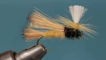 Video thumb for Bugmeister