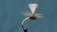 Video thumb for Klinkhammer
