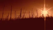 Video thumb for Louisiana Redfish 2008