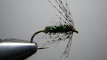 Video thumb for Syl's Midge
