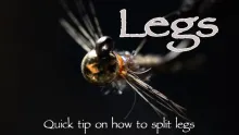 Video thumb for How to Split Legs