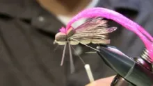 Video thumb for Tying the Hopper Juan