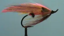 Video thumb for Pink Lady Salmon Fly
