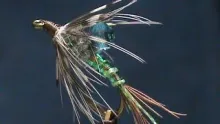 Video thumb for Disco Nymph