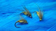 Video thumb for Quilled Caddis Pupa