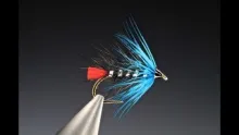 Video thumb for Zulu Blue