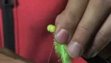 Video thumb for The Tequila Booby