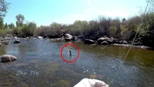 Video thumb for The Amazing Dry Fly Bite! 