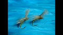 Video thumb for Emerger Caddis (Grannom)