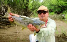 User submitted picture: Great Brown of Aluminé river