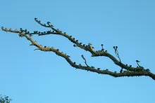 User submitted picture: Waiting patiently for the...