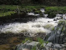 User submitted picture: my friend Petr Head and v...