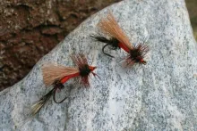 User submitted picture: "Incorporators"