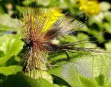 User submitted picture: The original tie of the A...