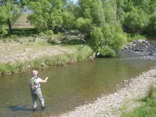 User submitted picture: Perfect New Zealand day -...