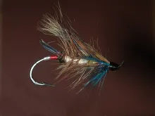 User submitted picture: The Pesky Squirrel-A once...