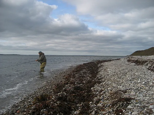 User submitted picture: Seetrout fishing and wait...