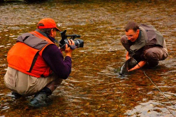 User submitted picture: landing and presenting th...