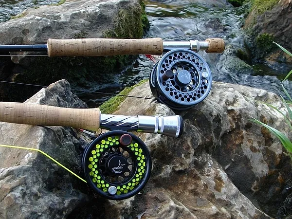 User submitted picture: Silent life